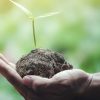 ¿Qué es la energía sustentable?