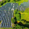 Energías renovables mantuvieron más del 80 % de generación en 2020 y la eólica inicia su participación en el mercado