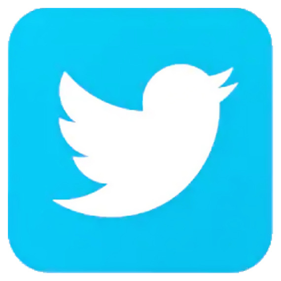 LOGO TWITTER