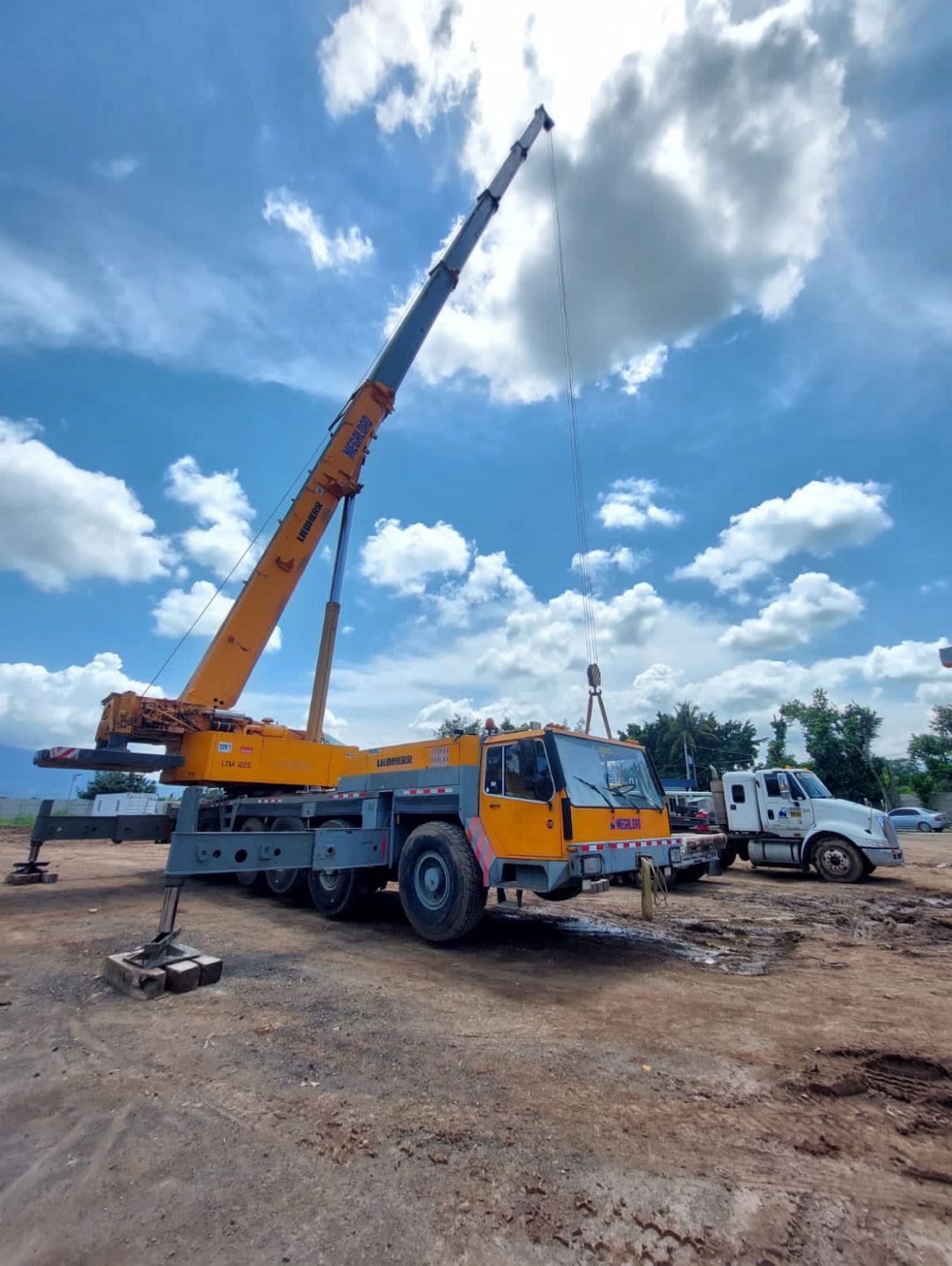 Alquiler de Grúa telescópica Liebherr de 225 Tons - Megaload​